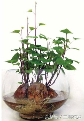 clip_image001