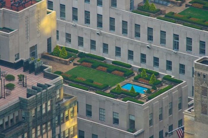 rooftops (17)