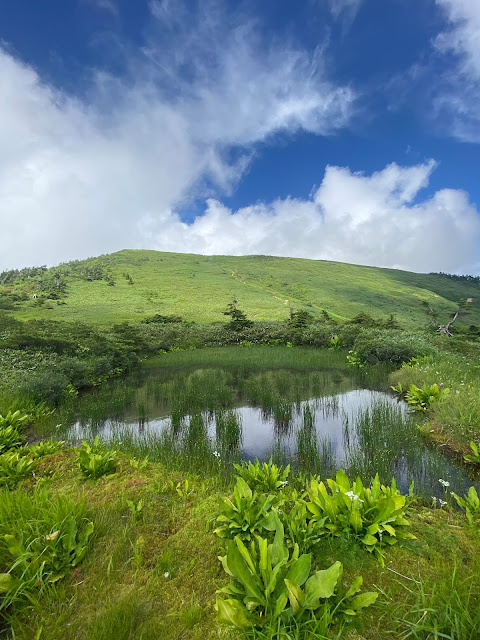 Mt. Makihata pond2