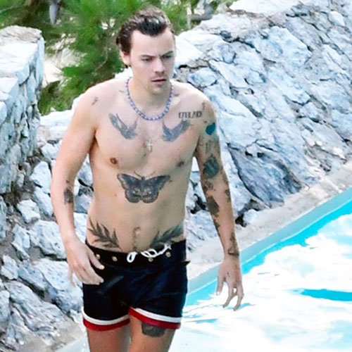 Harry Styles sem camisa