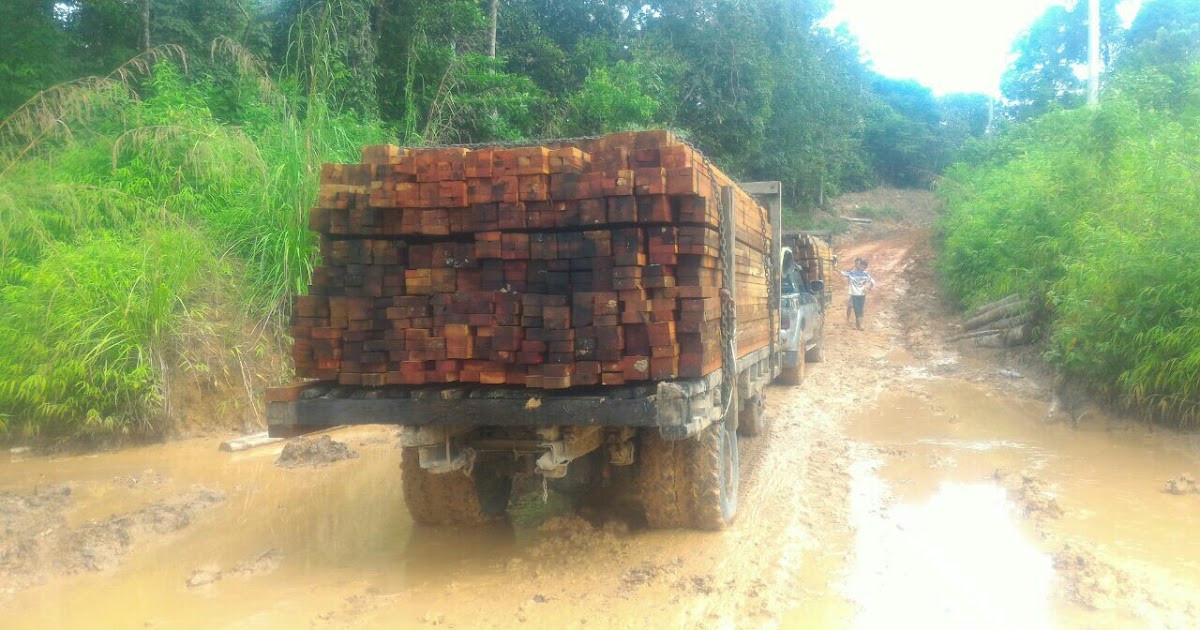 PERUBAHAN PERATURAN PENGANGKUTAN KAYU  HUTAN  HAK DENGAN 