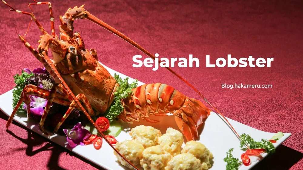 Sejarah makanan mewah mahal lobster dulunya untuk makanan orang miskin - Blog.hakameru.com