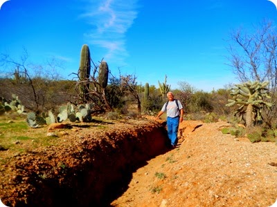 Saguaro National Park