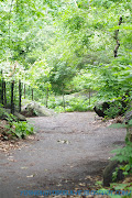 Central Park, New York, New York (central park )