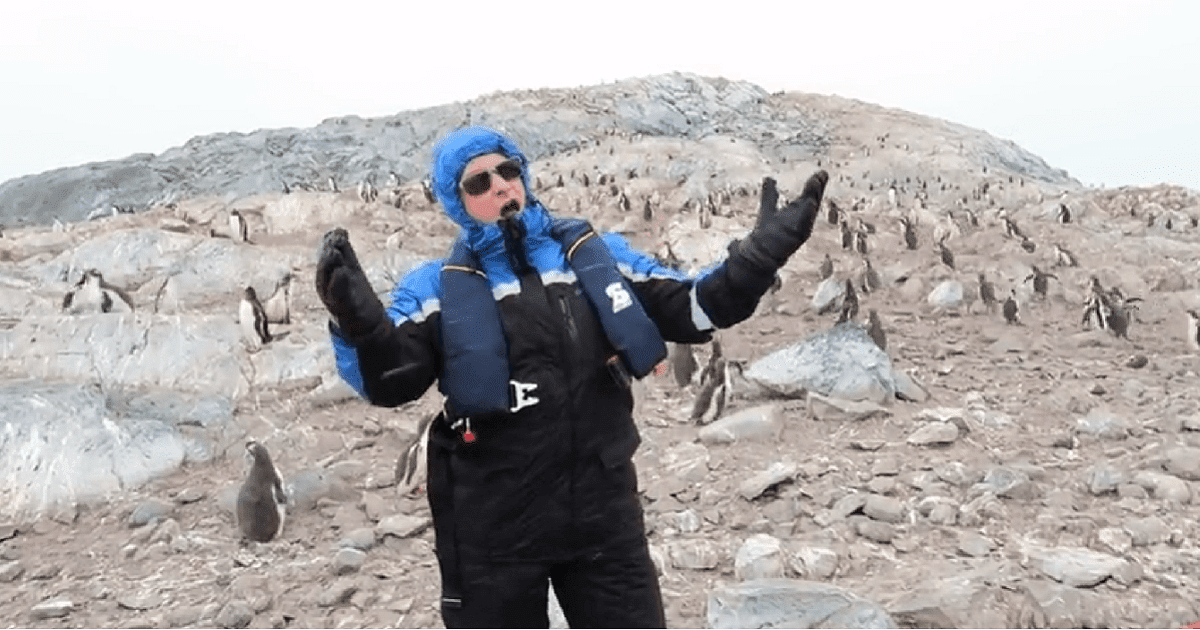 Do Penguins Enjoy Opera This Hilarious Video, Captured In Antarctica Has The Answer
