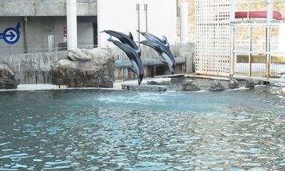 20141115_102730