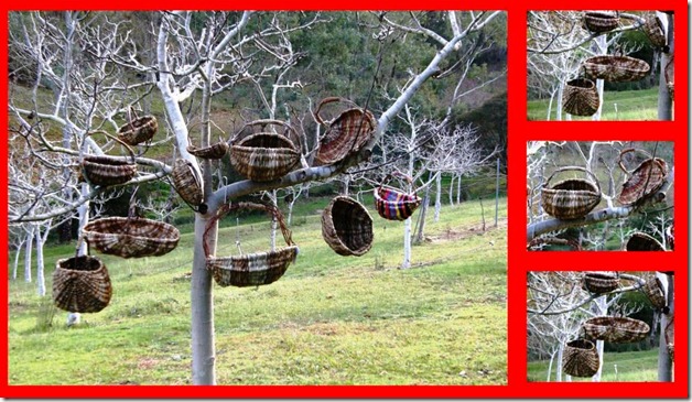 rib Basket tree