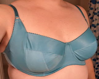 Photo of a teal blue bra in duoplex