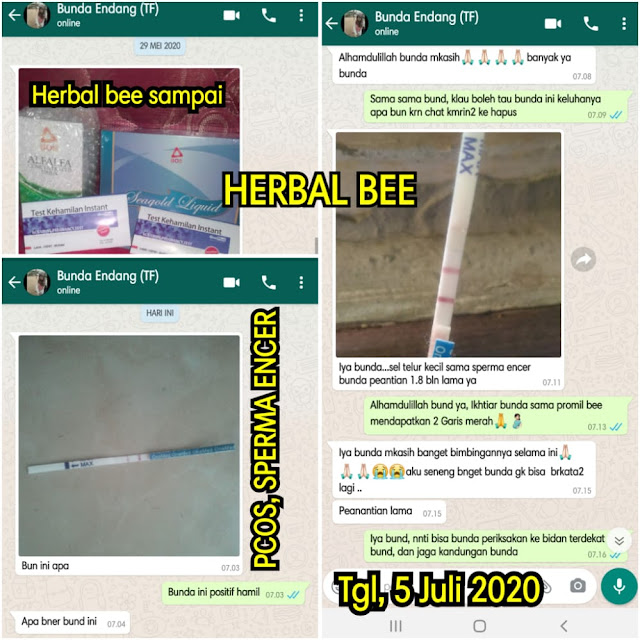 promil herbal bee