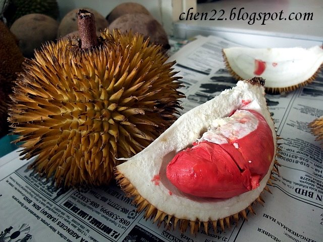 Durian Yang Berwarna Merah Dan Berbentuk Jantung