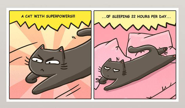 15+ Comics That Purrfectly Capture Life With Cats