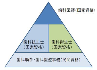 歯科医療業界におけるヒエラルキー