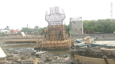 Opini Taman Mangrove Tak Berikan Kompensasi Lingkungan