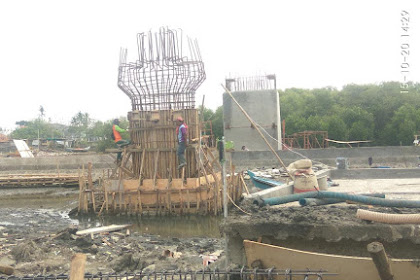 Opini Taman Mangrove Tak Berikan Kompensasi Lingkungan