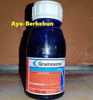 gramoxone