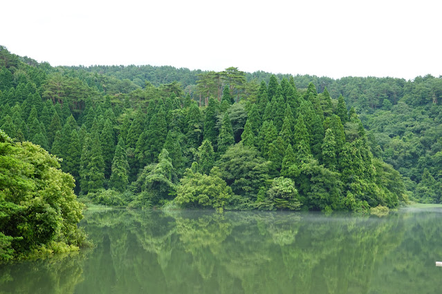 鳥取県西伯郡大山町赤松 名和岸本線沿いの溜池