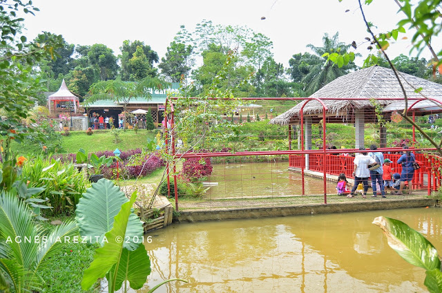 Cafe Terapung di Taman The Le Hu Garden