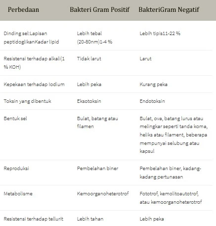 perbedaan bakteri