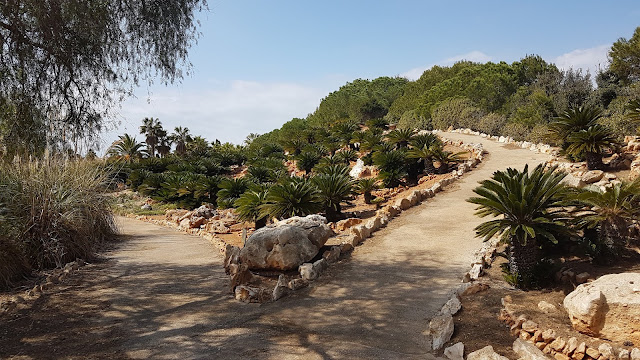 Botanicactus Botanischer Garten Mallorca