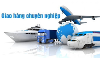 Đơn vị ship tốc độ sang nauy giá rẻ nhất