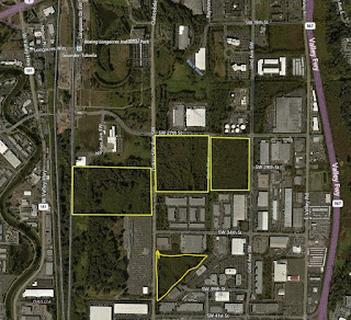 Picture of parcel map showing Renton properties set aside to create the Springfield Creek wetland mitigation and habitat bank.