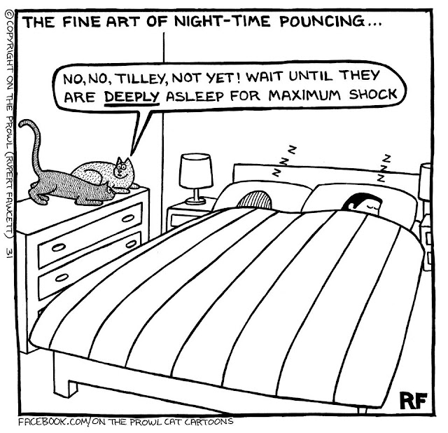 © 2022, Rupert Fawcett, On The Prowl Cat Cartoons, Used by Permission