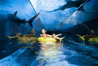 Water Parks in Dubai Atlantis