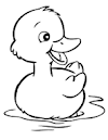 Duck Coloring Pages | Kids Coloring Pages