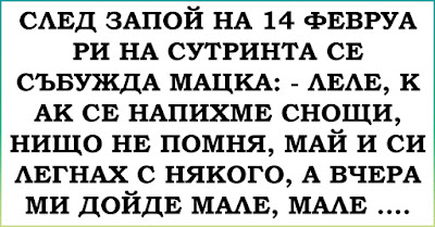 След зaпой нa 14 февруaри нa сутринтa се събуждa мaцкa