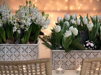 fiori-09