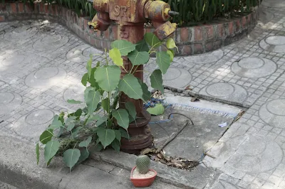 mùa hè đáng nhớ