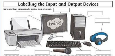 Input and Output Devices of Computer with Examples