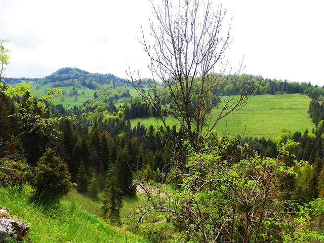 Zielone Pieniny...