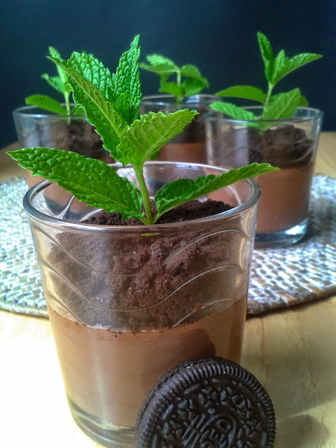 chocolate custard and Oreo cookies