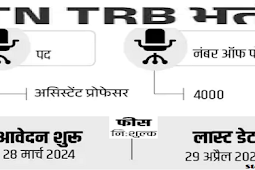 असिस्टेंट प्रोफेसर के 4000 पदों पर भर्ती 2024, सैलरी 1 लाख 82 हजार तक (Recruitment for 4000 posts of Assistant Professor 2024, salary up to 1 lakh 82 thousand)