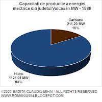 Surse de generare a energiei electrice din judetul Valcea in MW in anul 1989