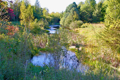 typical level of Autumn color for local mid-September