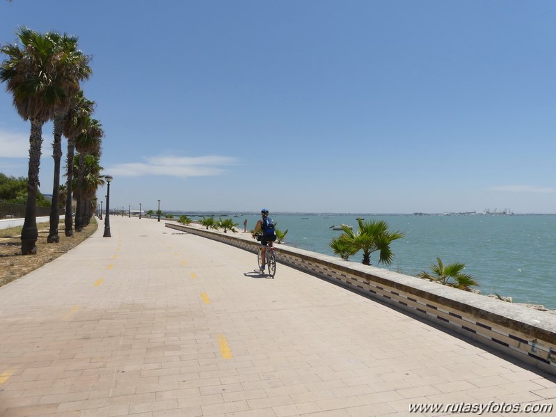 Bici Cádiz - Puerto de Santa María - Puerto Real - San Fernando - Cádiz