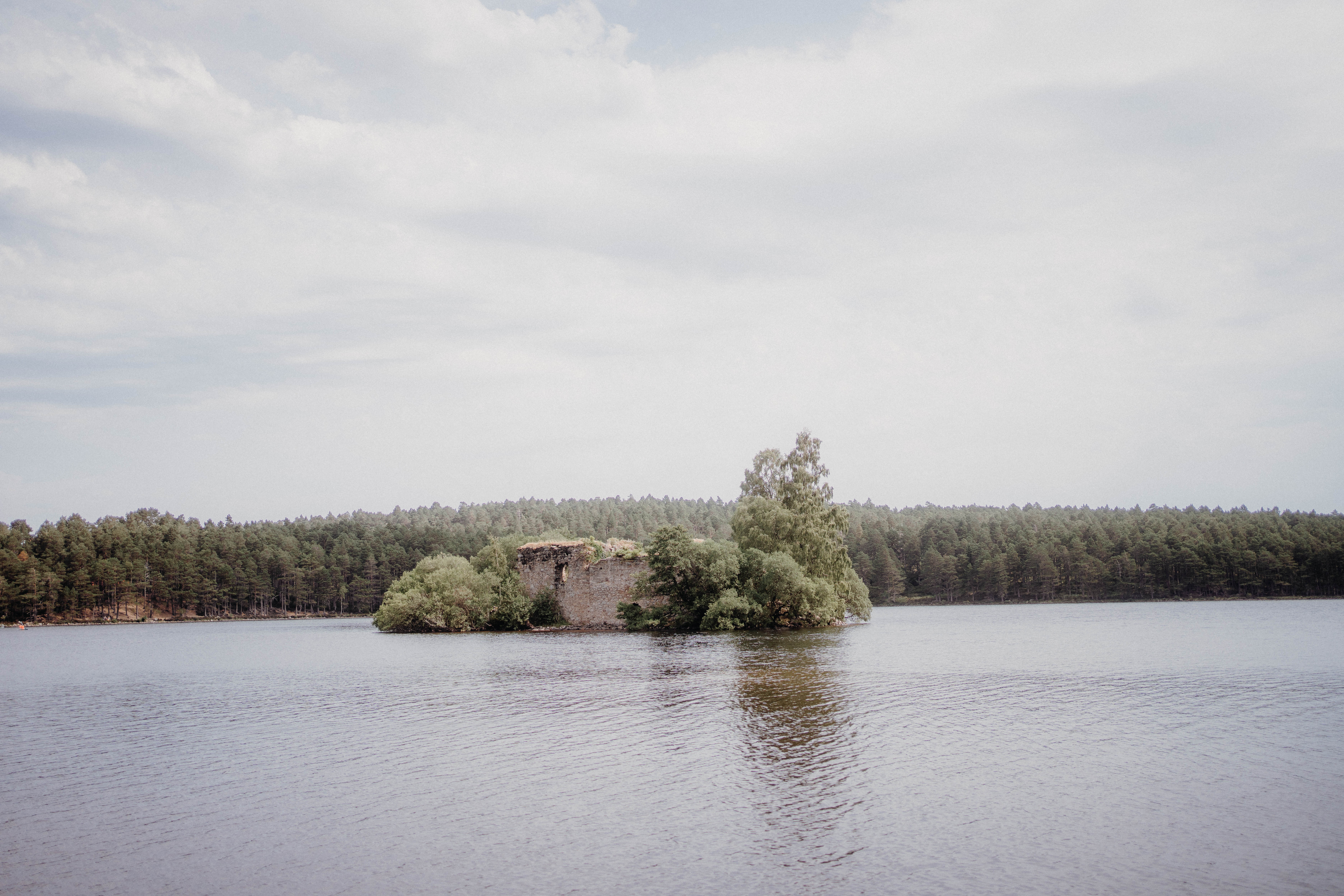 Loch An Eilein in Rothiemurchus liquid grain