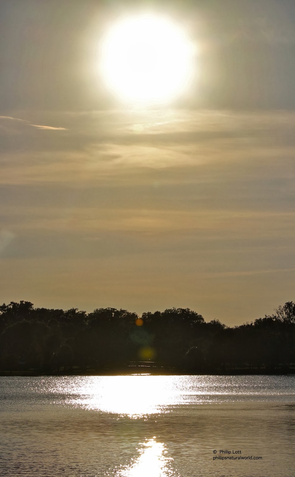 Lake Harris is the largest lake in Lake County at (56 square km ...