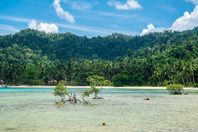 Mahilamomen beach-Port Barton-Palawan-Philippines