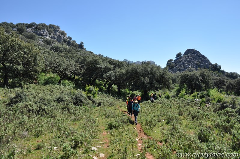 Villaluenga del Rosario - Llanos del Republicano - Torcal de Cancha Bermeja - Cerro Tinajo