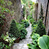 Enchanting Garden Walkway