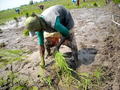 BLOG by Taga-Ilog News: HACIENDA LUISITA: Land Theft, Massacres ...