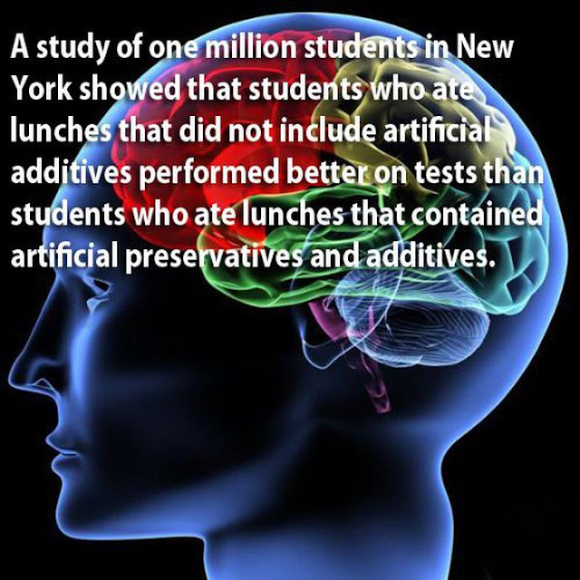 amazing facts, facts about human brains, human brains, amazing human brains, facts, science, science fact