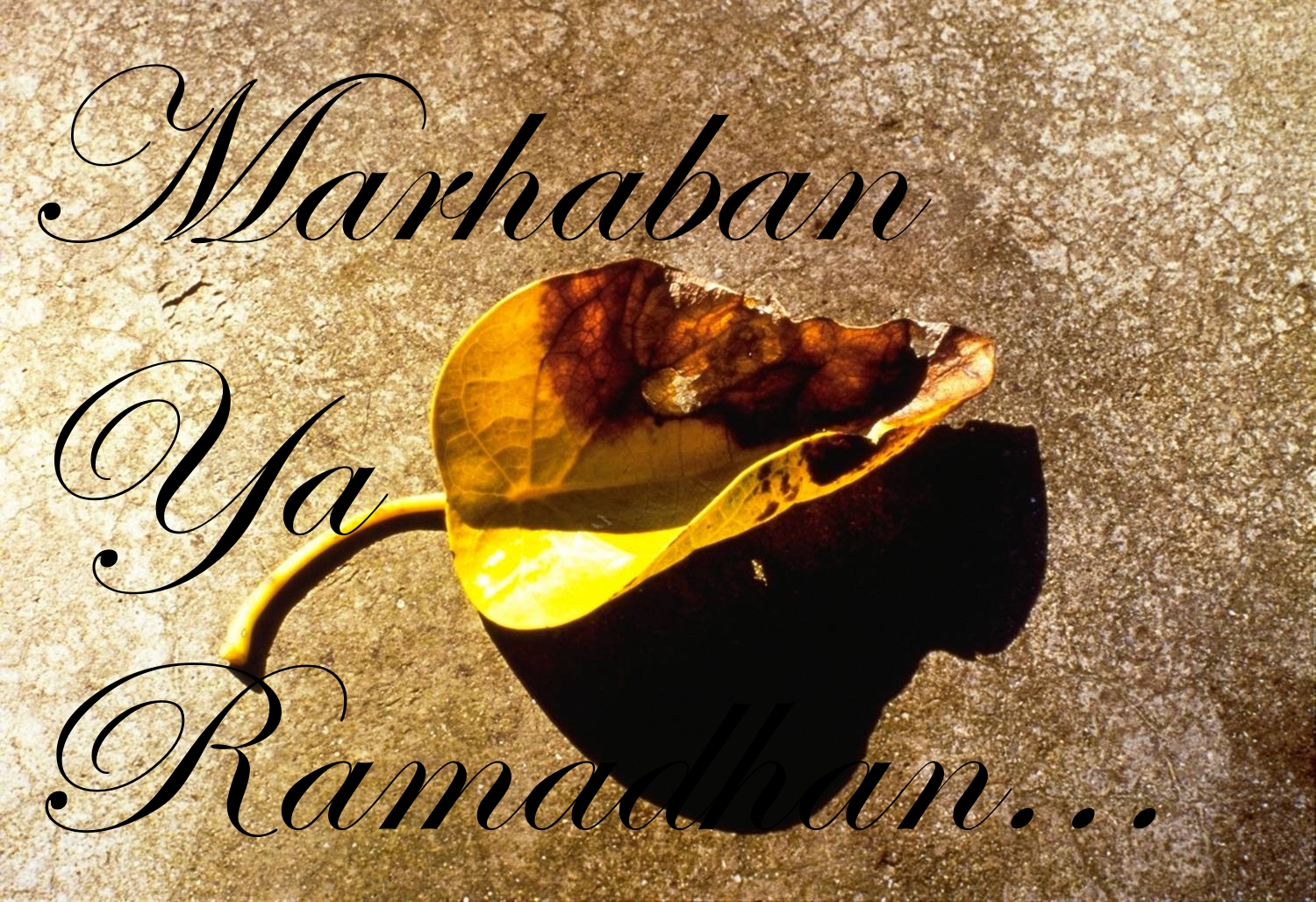 Foto Lucu Bergerak Ramadhan Terlengkap Display Picture Unik