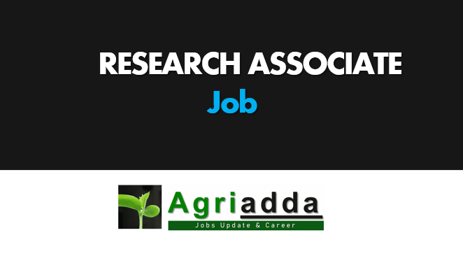 Vaccancy for Research Associates (RA) | December 2023 | Job 45