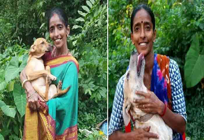 Latest-News, Top-Headlines, Mangalore, Animal, Award, Dog, Street dog, Food,Cat, Press Club,  Press Club's Award to Rajani Shetty for her Animal love.