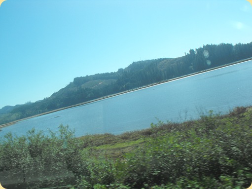 Scenic Drive on Hwy 101 to Florence, OR 114
