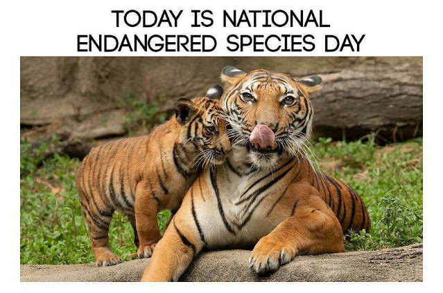 National Endangered Species Day Wishes Awesome Picture